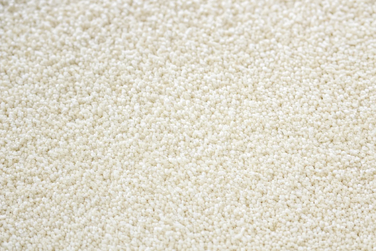 The result of AllState's certified-organic pet odor & stain removal